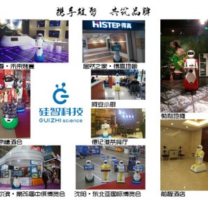 中餐廳，茶餐廳，私人會所，服務(wù)行業(yè)智能機器人
