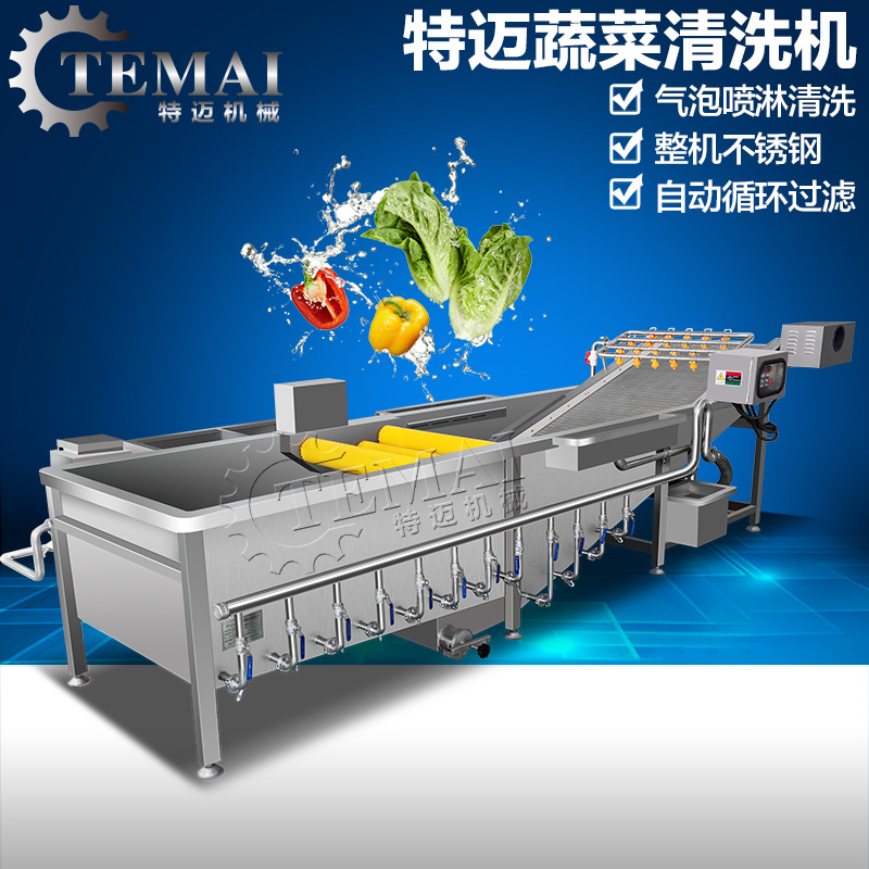  廠家直銷商用智能氣泡洗菜機(jī) 全自動臭氧洗菜機(jī)