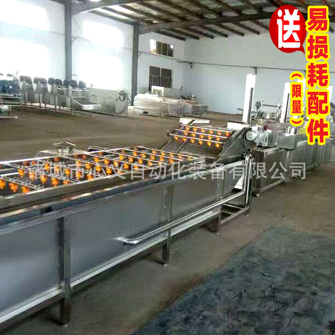 果蔬清洗機(jī) 酒店自動(dòng)輸送蔬菜清洗機(jī) 商用超聲波洗菜機(jī)