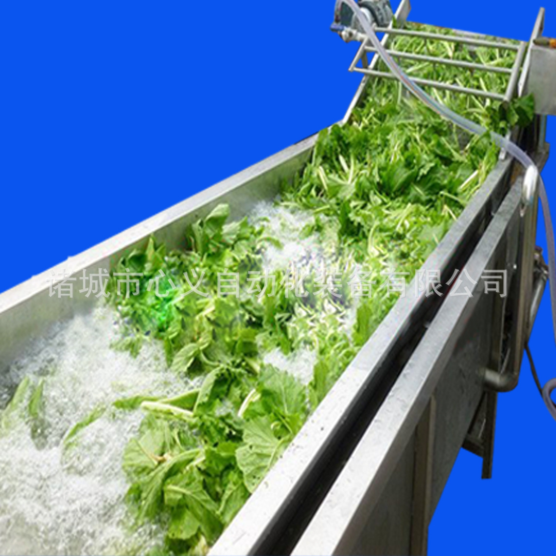 果蔬清洗機(jī) 酒店自動(dòng)輸送蔬菜清洗機(jī) 商用超聲波洗菜機(jī)