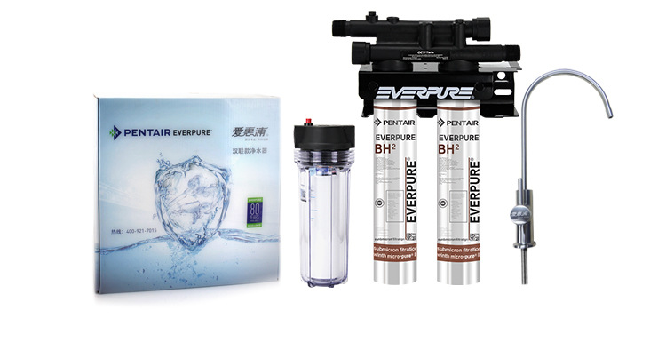 美國(guó)進(jìn)口愛(ài)惠浦（Everpure）BH2 雙聯(lián)凈水器 過(guò)濾系統(tǒng) 商用