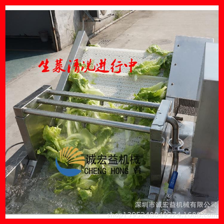 暢銷 商用大型氣泡臭氧洗菜機(jī) 蒜臺(tái)/山芹菜清洗機(jī) 現(xiàn)貨供應(yīng)