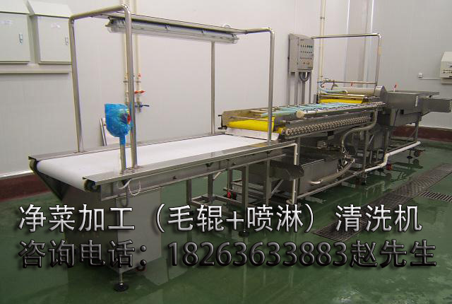凈菜加工現(xiàn)場8