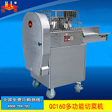 恒聯(lián)QC200多功能商用切菜機(jī)切瓜果機(jī)Vegetable cutter大型切菜機(jī)
