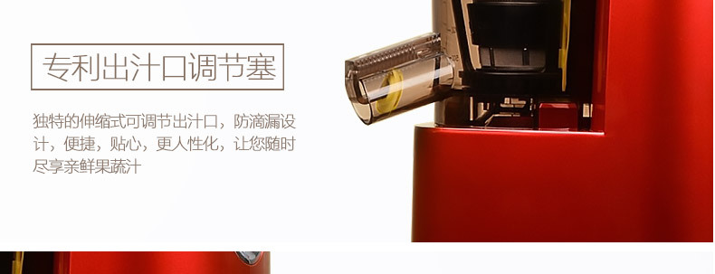 SAVTM/獅威特商用大口徑多功能榨汁機 攪拌果汁機低速原汁機批發