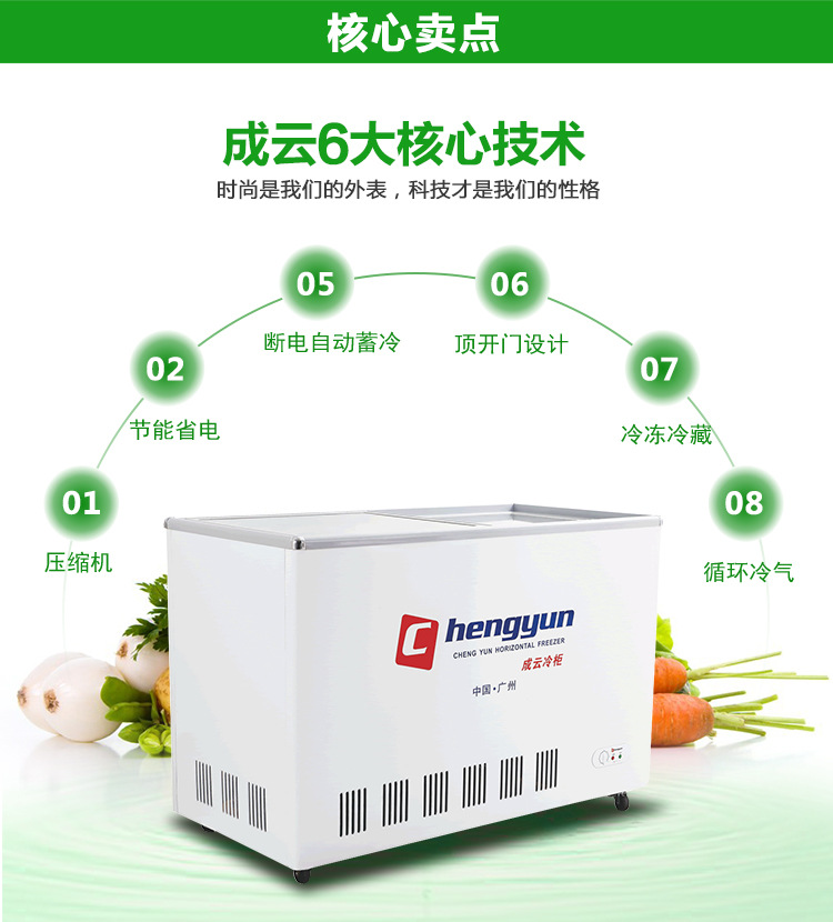 成云直銷(xiāo)雙門(mén)翻蓋式臥柜冰柜冷柜單溫商用臥式兩室冷凍冷藏臥柜