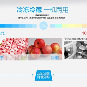 銀都六門冰柜全鋼全銅冰箱雙機雙溫冰柜廚房冰柜商用六門冰箱冷柜