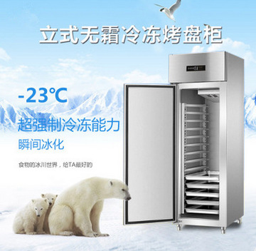 廠家直銷冰柜立式五門(mén)冷藏陳列柜 飲料展示冰箱 超市便利店保鮮柜