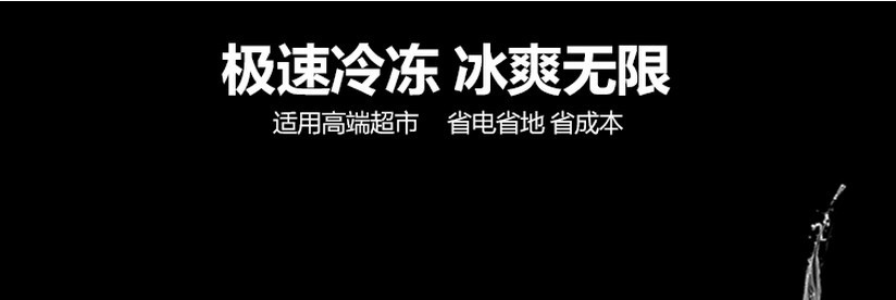 廠家直銷冰柜立式五門(mén)冷藏陳列柜 飲料展示冰箱 超市便利店保鮮柜