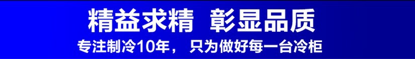 廠家直銷冰柜立式五門(mén)冷藏陳列柜 飲料展示冰箱 超市便利店保鮮柜