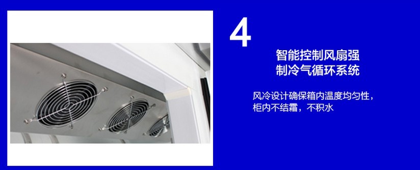廠家直銷冰柜立式五門(mén)冷藏陳列柜 飲料展示冰箱 超市便利店保鮮柜