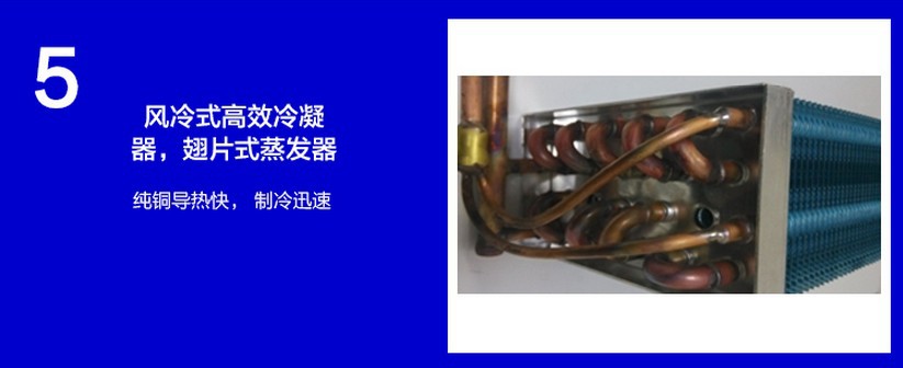 廠家直銷冰柜立式五門(mén)冷藏陳列柜 飲料展示冰箱 超市便利店保鮮柜