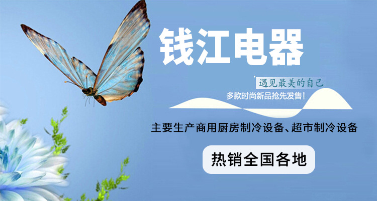 錢江家用小型制冰機(jī) 奶茶店方冰塊不銹鋼制冰機(jī) 冰塊機(jī)廚房設(shè)備