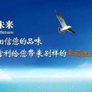 源頭工廠專業生產酒店工程家用豪華按摩浴缸8671顏色多選