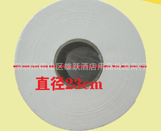 大盤(pán)紙 空芯大卷紙衛(wèi)生健康廁紙商務(wù)用紙 600g 12卷 雙層