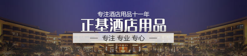 供應(yīng)酒店客房電器 客房電器用品 飛科電熨斗 FI9309