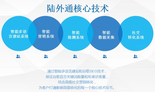 外貿(mào)網(wǎng)絡(luò)營(yíng)銷(xiāo)推廣與建設(shè) 策略與實(shí)踐