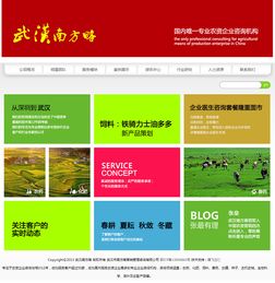 定制網(wǎng)站建設(shè)與企業(yè)營銷策劃的融合之道 以武漢南方略與騰飛立仁為例